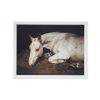 Charlotte Dumas｜ANIMA & Stay