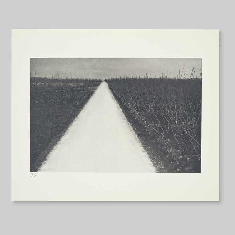 Shoji Ueda | Children Calendar - Image 14