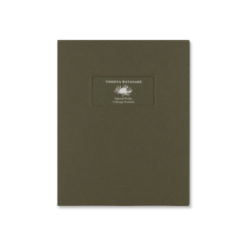 Toshiya Watanabe| Selected Works