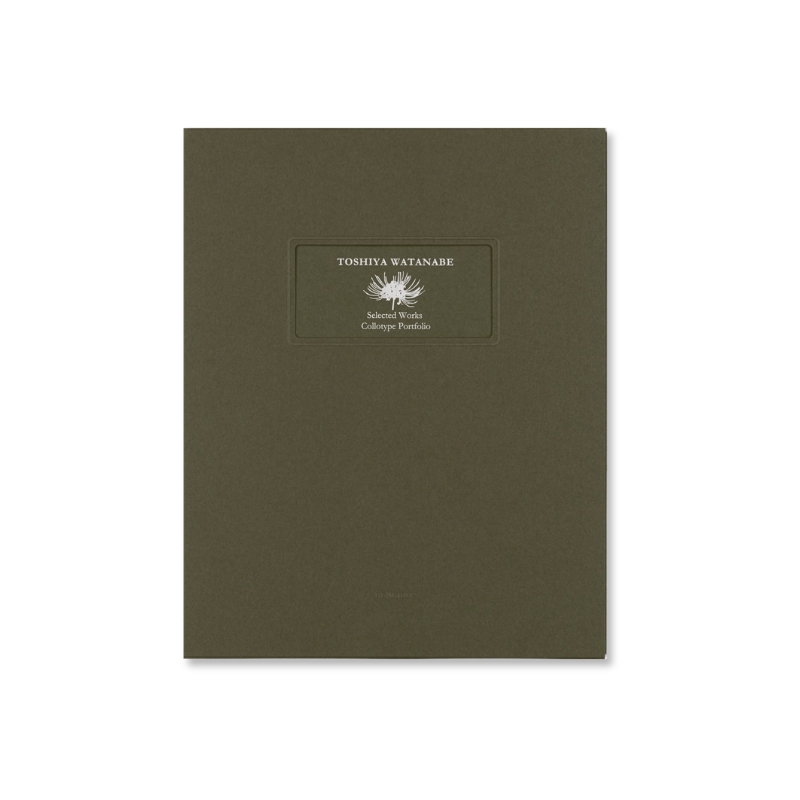 Toshiya Watanabe| Selected Works