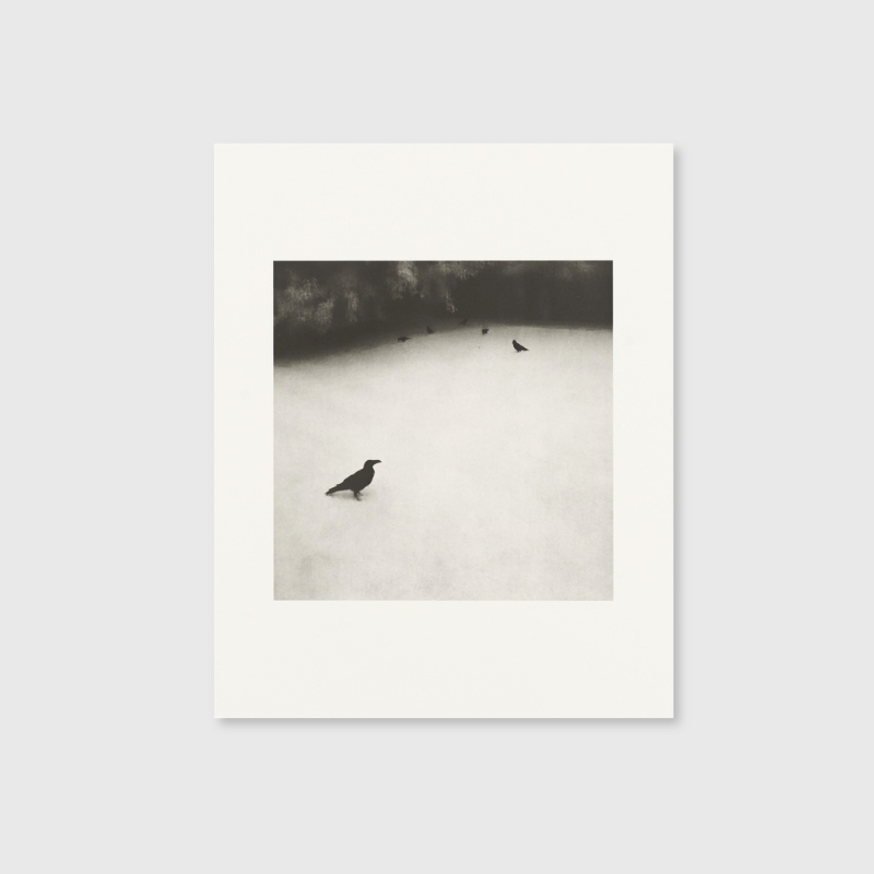 Toshiya Watanabe| Selected Works - Image 3