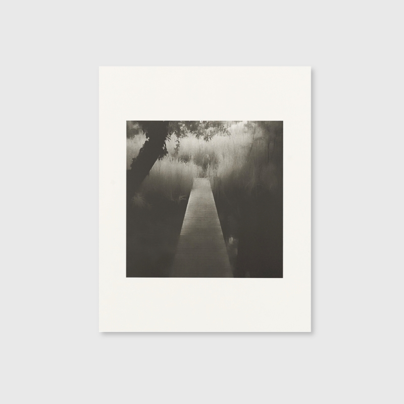Toshiya Watanabe| Selected Works - Image 4