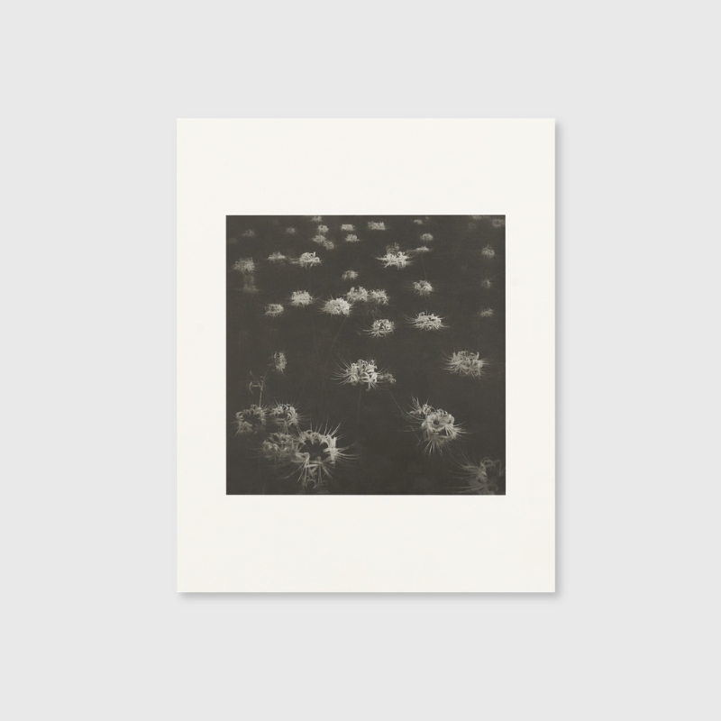 Toshiya Watanabe| Selected Works - Image 6