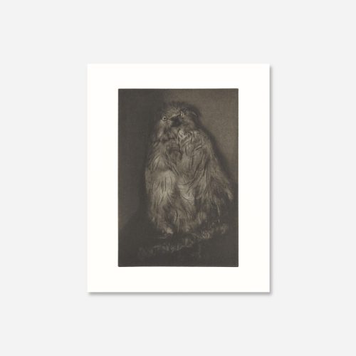 Alternative view of Chieko Shiraishi｜ SHIMAKAGE II